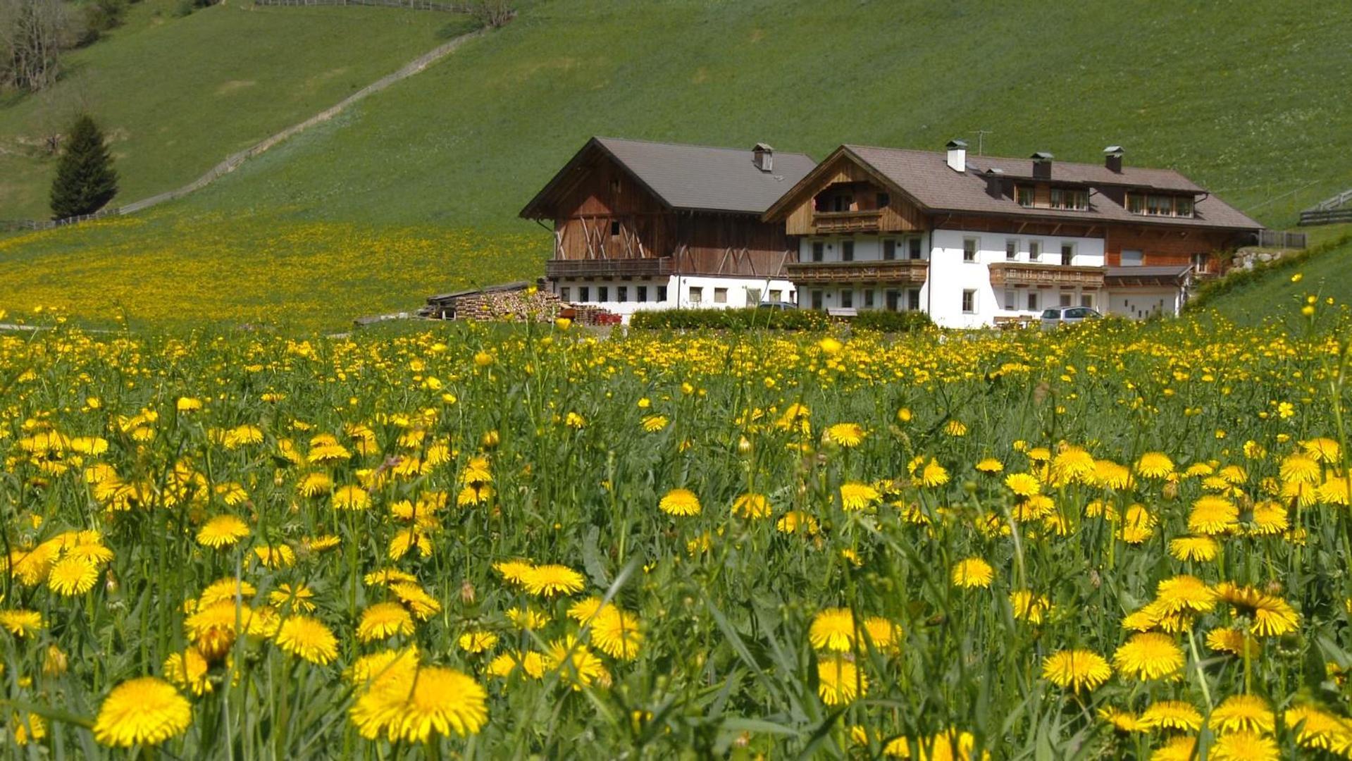 Villa Parggenhof Innichen Exterior foto